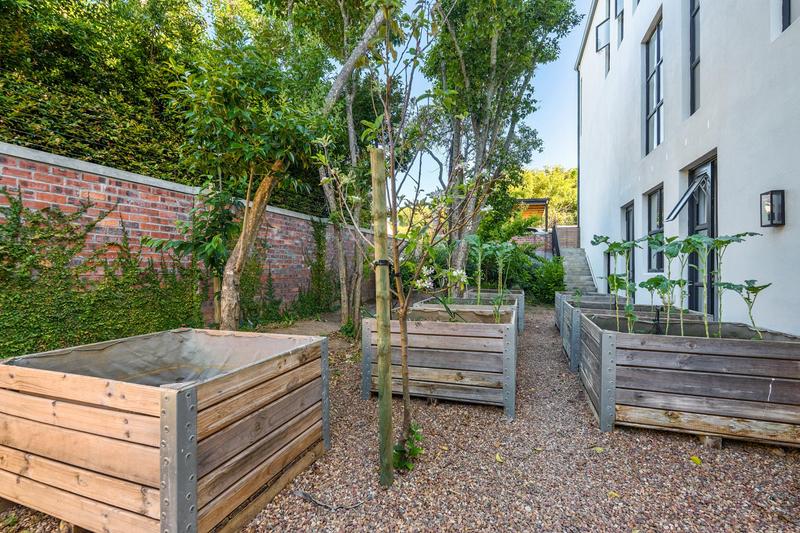 To Let 6 Bedroom Property for Rent in Constantia Western Cape